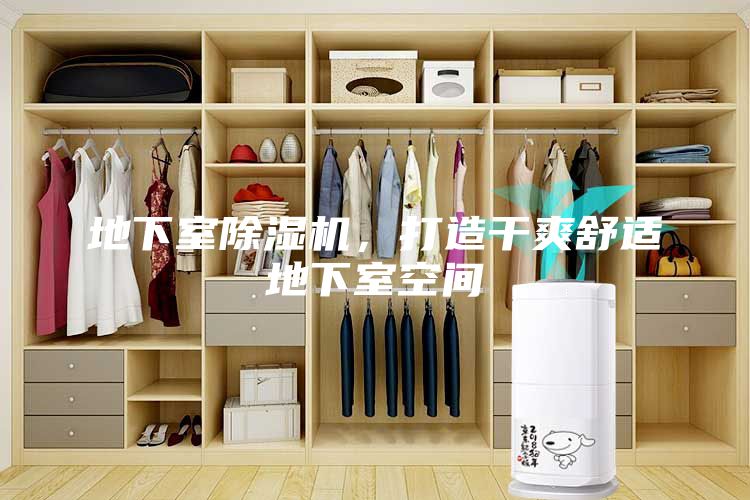 地下室除濕機，打造干爽舒適地下室空間