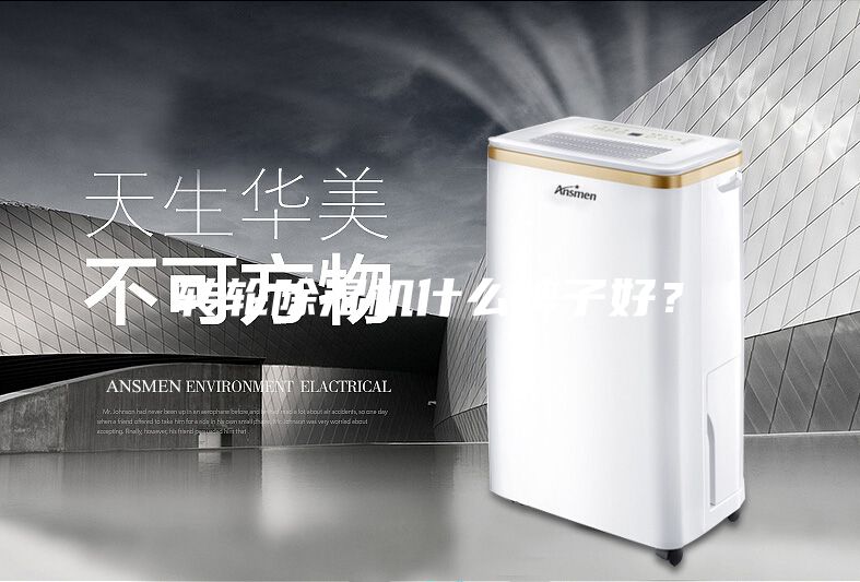 轉輪除濕機什么牌子好？