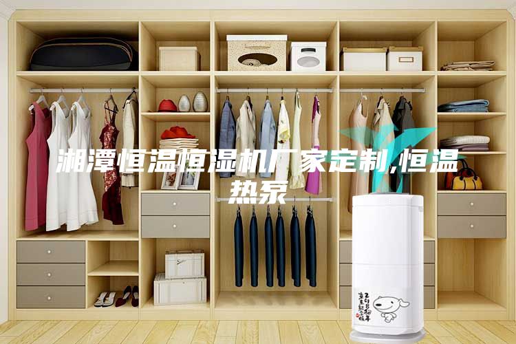 湘潭恒溫恒濕機廠家定制,恒溫熱泵