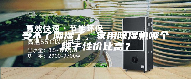 受不了潮濕了，家用除濕機(jī)哪個(gè)牌子性價(jià)比高？