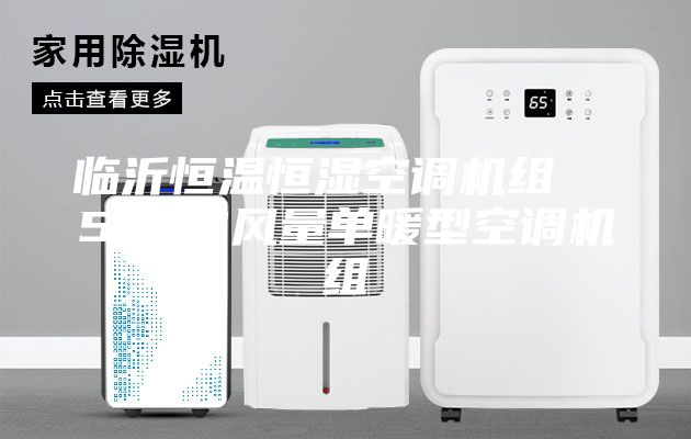 臨沂恒溫恒濕空調(diào)機組  5000風(fēng)量單暖型空調(diào)機組