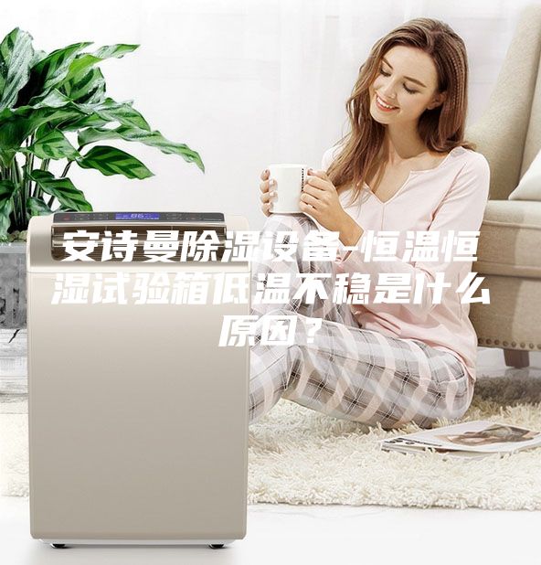安詩曼除濕設(shè)備-恒溫恒濕試驗箱低溫不穩(wěn)是什么原因？