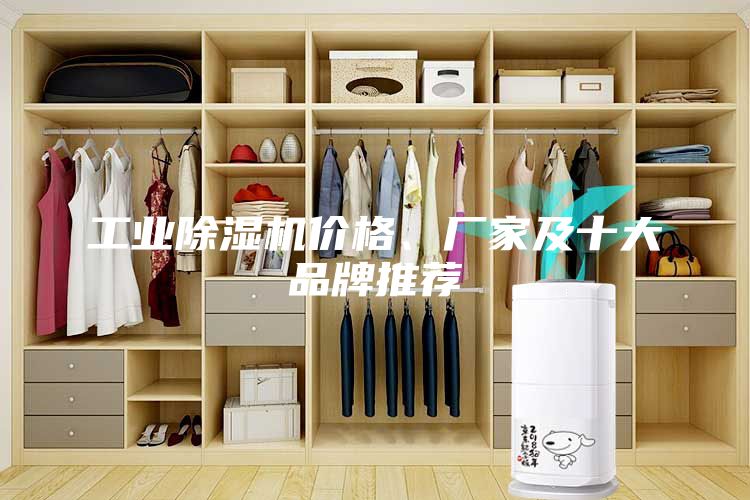 工業(yè)除濕機(jī)價(jià)格、廠家及十大品牌推薦