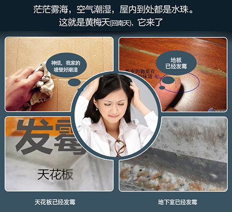 知否知否,國(guó)內(nèi)十大除濕機(jī)品牌