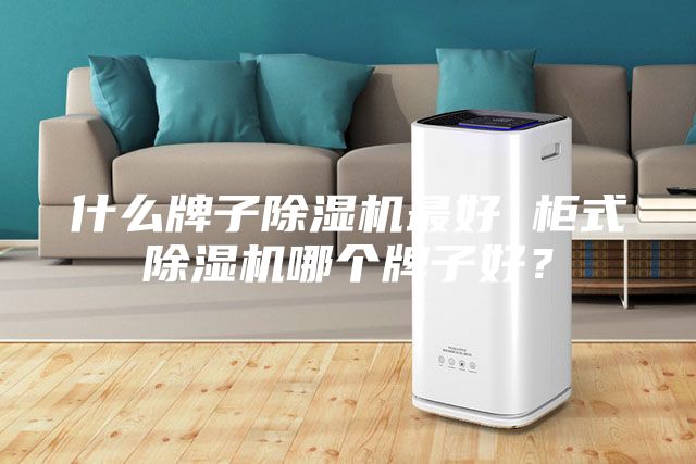 什么牌子除濕機最好 柜式除濕機哪個牌子好？