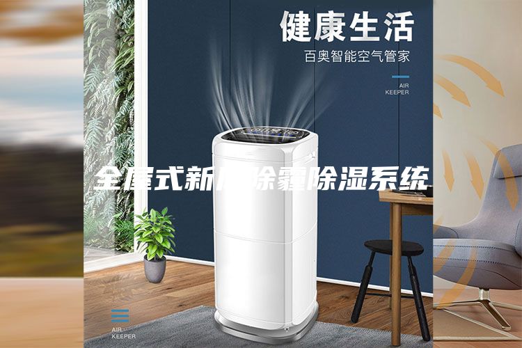 全屋式新風(fēng)除霾除濕系統(tǒng)