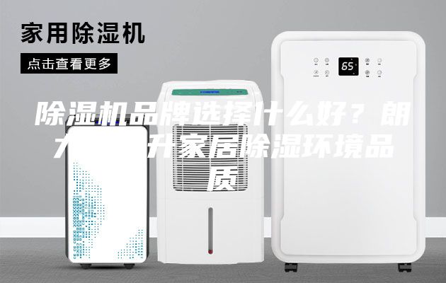 除濕機(jī)品牌選擇什么好？朗力信提升家居除濕環(huán)境品質(zhì)
