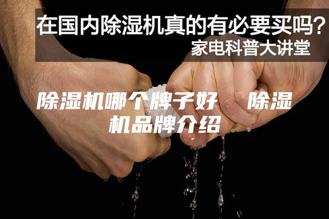 除濕機哪個牌子好 除濕機品牌介紹