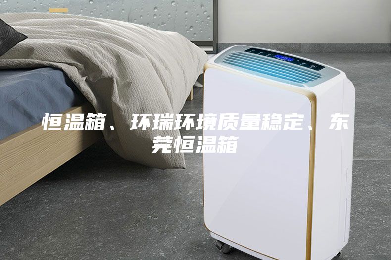 恒溫箱、環瑞環境質量穩定、東莞恒溫箱