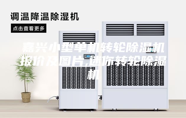 嘉興小型單機轉輪除濕機報價及圖片,迷你轉輪除濕機