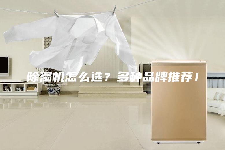 除濕機怎么選？多種品牌推薦！
