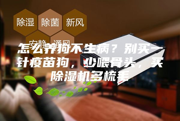 怎么養(yǎng)狗不生??？別買一針疫苗狗，少喂骨頭，買除濕機(jī)多梳毛