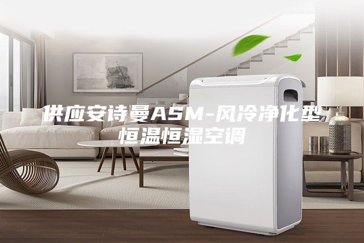 供應安詩曼ASM-風冷凈化型恒溫恒濕空調