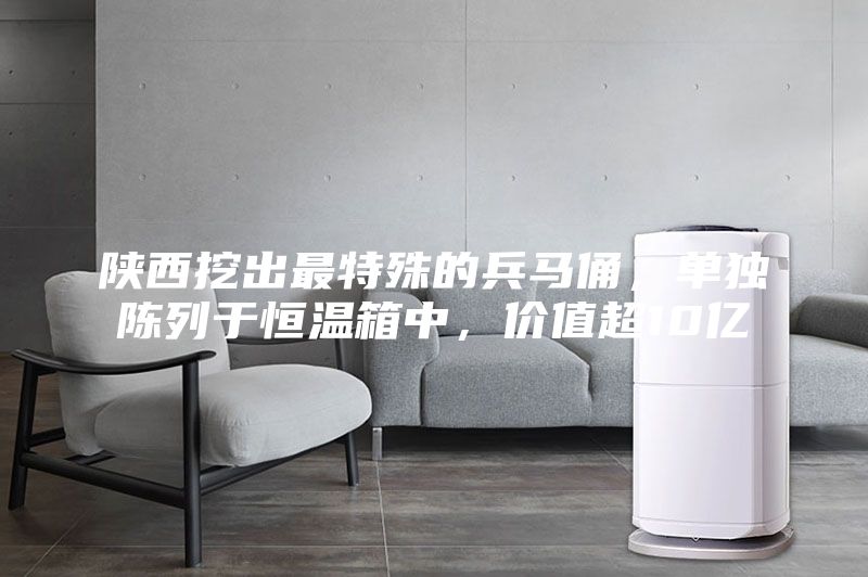 陜西挖出最特殊的兵馬俑，單獨陳列于恒溫箱中，價值超10億