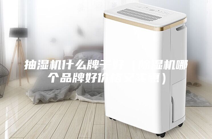 抽濕機什么牌子好(除濕機哪個品牌好價格又實惠)
