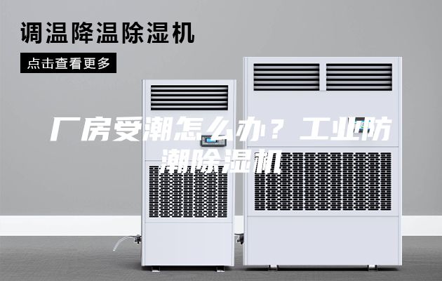 廠房受潮怎么辦？工業(yè)防潮除濕機