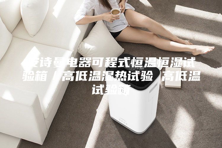 安詩曼電器可程式恒溫恒濕試驗(yàn)箱/高低溫濕熱試驗(yàn) 高低溫試驗(yàn)箱