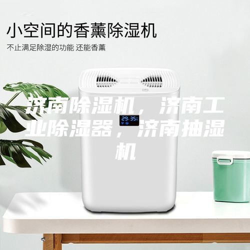 濟(jì)南除濕機(jī),濟(jì)南工業(yè)除濕器,濟(jì)南抽濕機(jī)