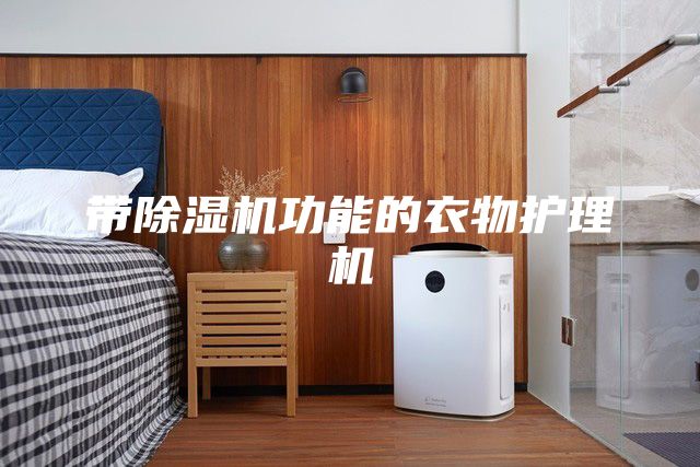 帶除濕機功能的衣物護理機