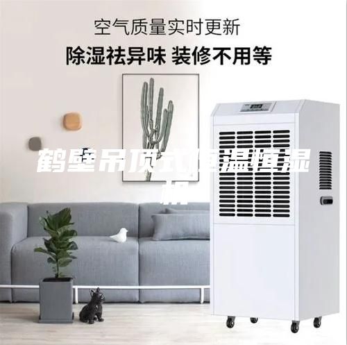 鶴壁吊頂式恒溫恒濕機(jī)
