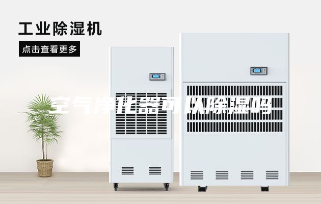 空氣凈化器可以除濕嗎