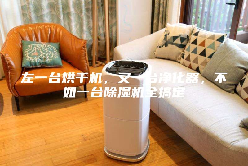 左一臺烘干機，又一臺凈化器，不如一臺除濕機全搞定