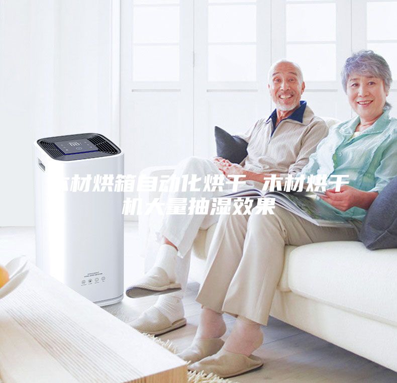 木材烘箱自動化烘干 木材烘干機大量抽濕效果