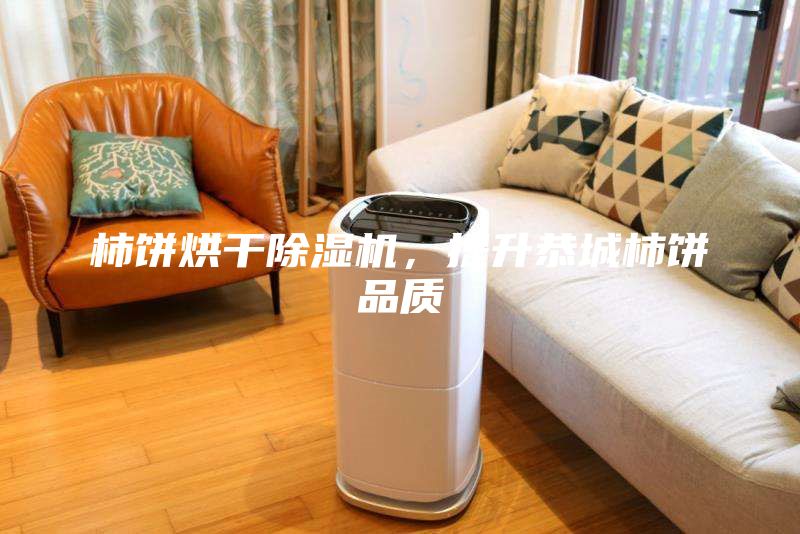 柿餅烘干除濕機，提升恭城柿餅品質
