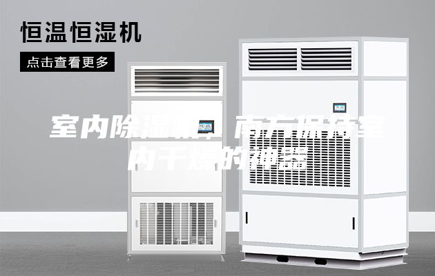 室內(nèi)除濕機，南方保持室內(nèi)干燥的神器