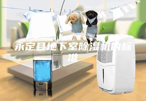 永定縣地下室除濕機的標準