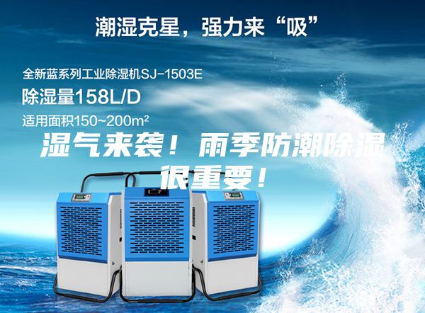 濕氣來襲！雨季防潮除濕很重要！