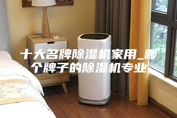 十大名牌除濕機家用_哪個牌子的除濕機專業