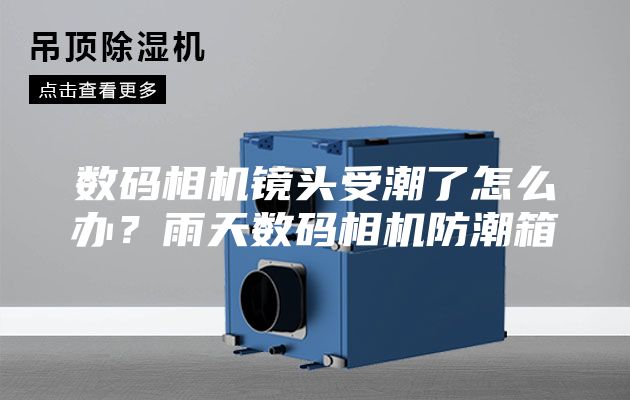 數碼相機鏡頭受潮了怎么辦？雨天數碼相機防潮箱