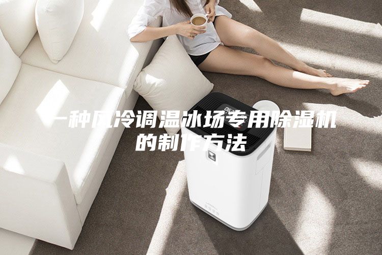 一種風冷調溫冰場專用除濕機的制作方法
