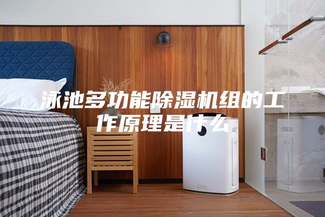 泳池多功能除濕機(jī)組的工作原理是什么