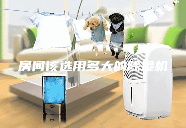 房間該選用多大的除濕機(jī)