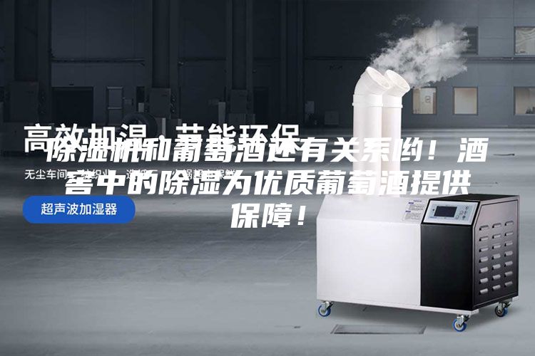 除濕機和葡萄酒還有關(guān)系喲！酒窖中的除濕為優(yōu)質(zhì)葡萄酒提供保障！