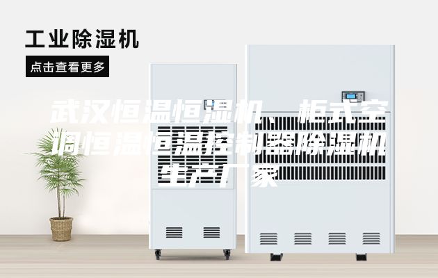 武漢恒溫恒濕機、柜式空調恒溫恒溫控制器除濕機生產廠家