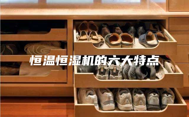 恒溫恒濕機的六大特點
