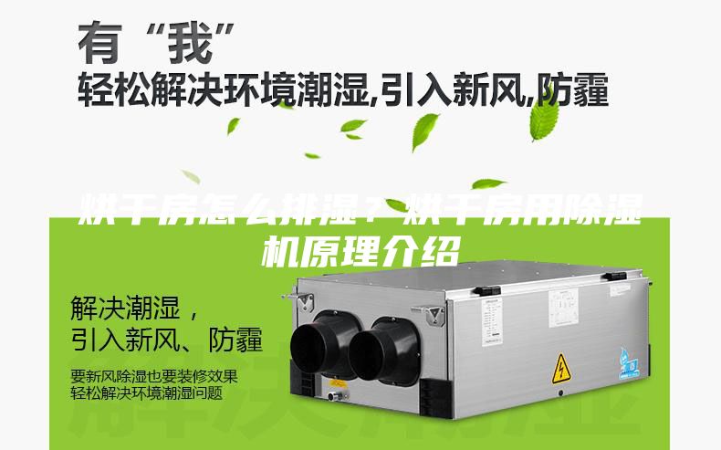 烘干房怎么排濕？烘干房用除濕機原理介紹