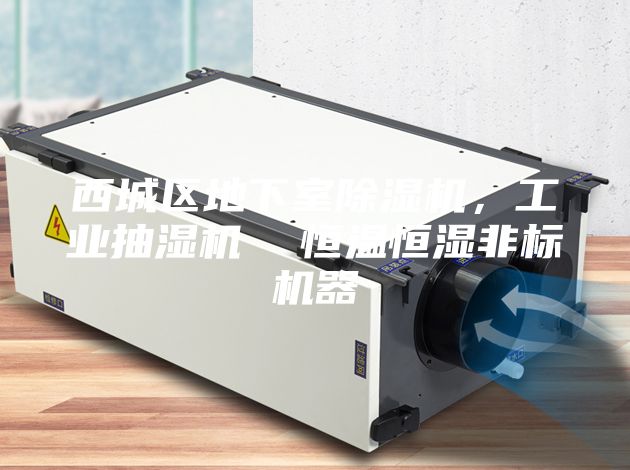 西城區地下室除濕機，工業抽濕機  恒溫恒濕非標機器
