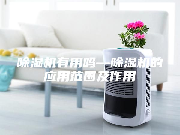 除濕機有用嗎—除濕機的應用范圍及作用