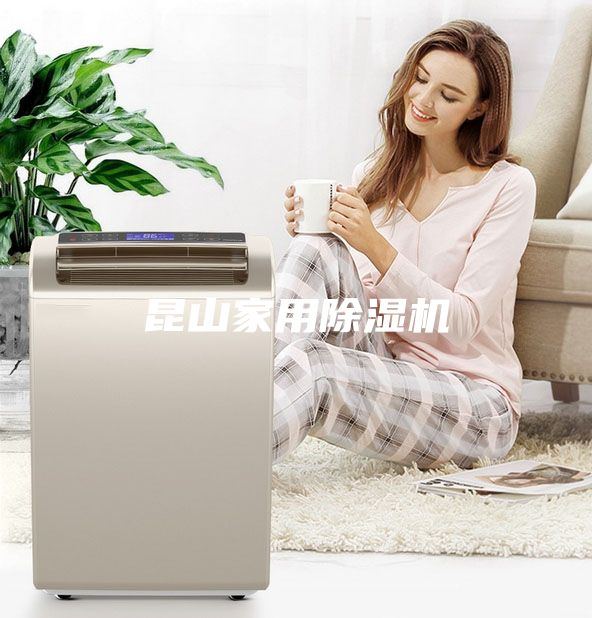 昆山家用除濕機