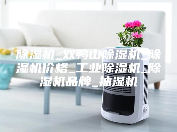 除濕機(jī)_雙鴨山除濕機(jī)_除濕機(jī)價格_工業(yè)除濕機(jī)_除濕機(jī)品牌_抽濕機(jī)