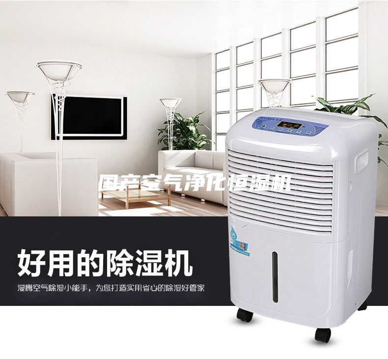 國產空氣凈化恒濕機