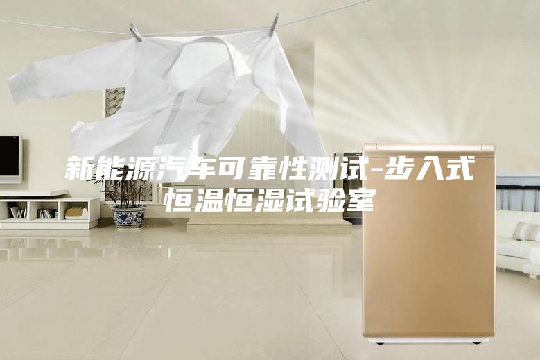 新能源汽車可靠性測(cè)試-步入式恒溫恒濕試驗(yàn)室