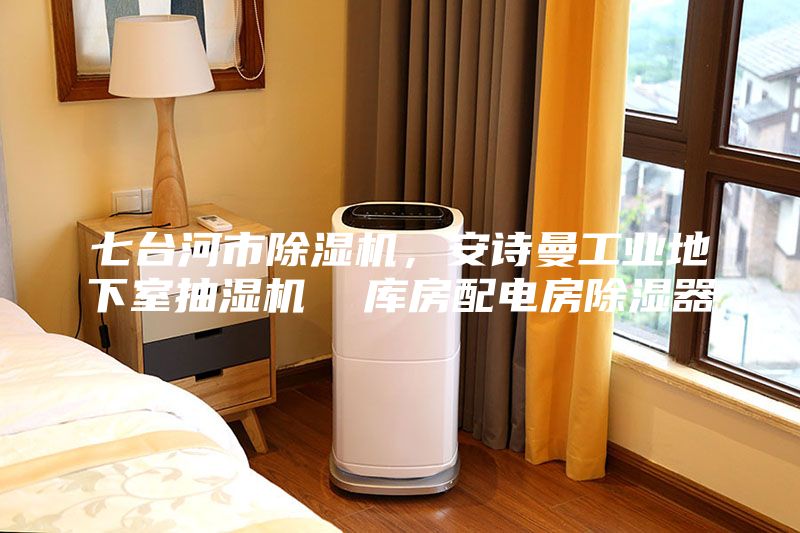 七臺河市除濕機，安詩曼工業地下室抽濕機  庫房配電房除濕器