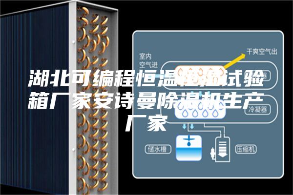 湖北可編程恒溫恒濕試驗箱廠家安詩曼除濕機生產(chǎn)廠家