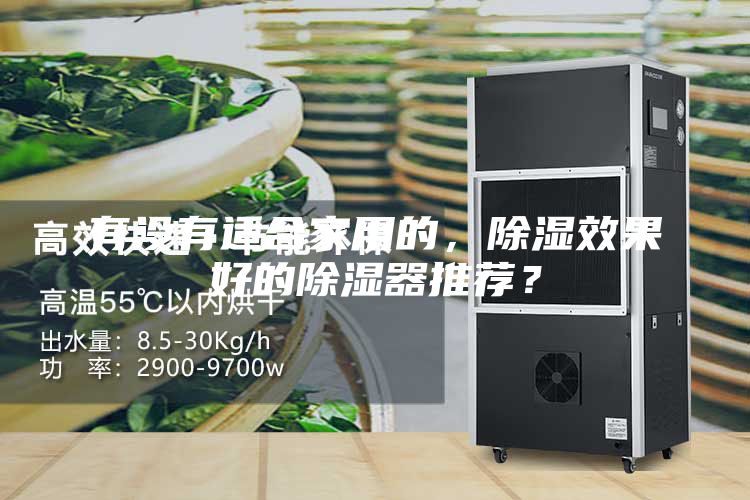 有沒有適合家用的，除濕效果好的除濕器推薦？