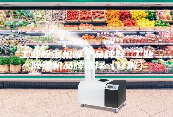 工業(yè)除濕機(jī)哪個品牌好 工業(yè)除濕機(jī)品牌選擇【詳解】
